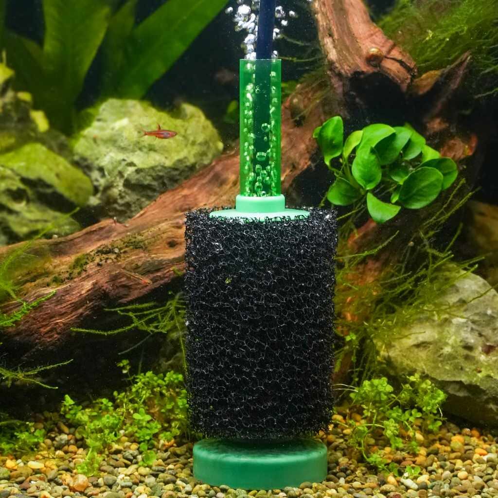 Biochemical Sponge Filter