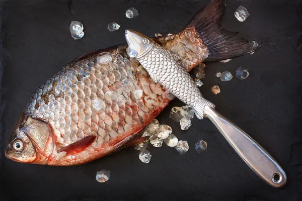 19 Surprising Uses of Fish Scales You Didn't Know About