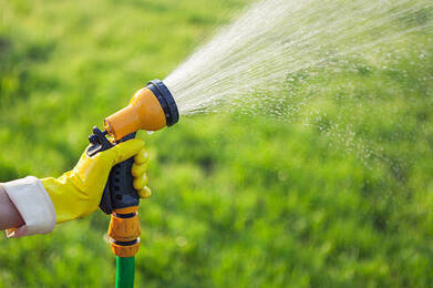 6 Best Garden Sprayers Review. How To Choose.