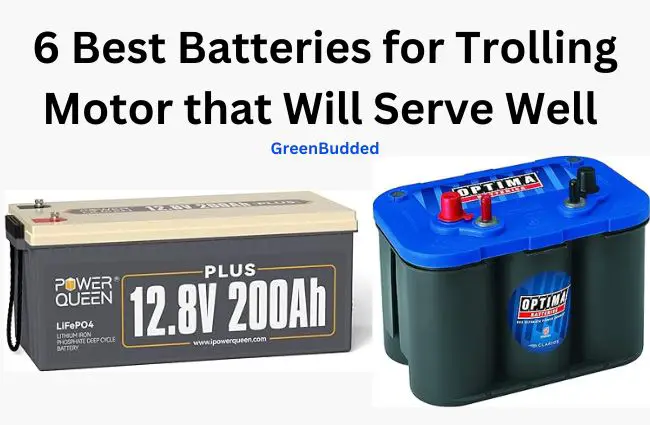6 Best Battery for Trolling Motor that will Serve Well
