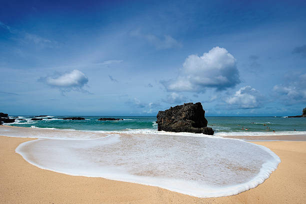 best snorkeling spots in oahu