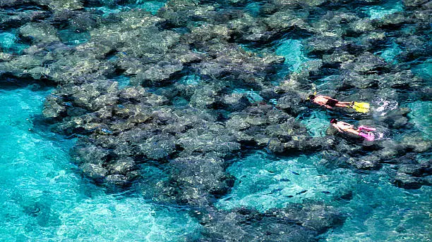 best in snorkeling in Oahu