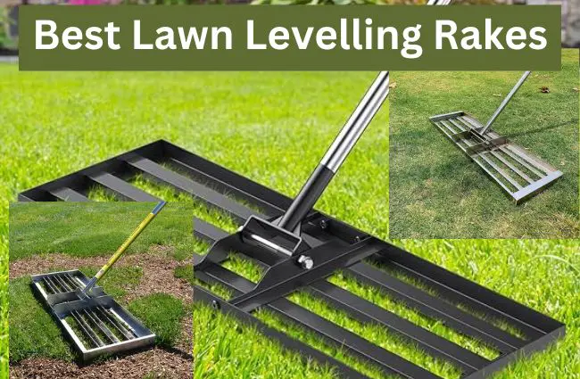 Best Lawn Levelling Rakes
