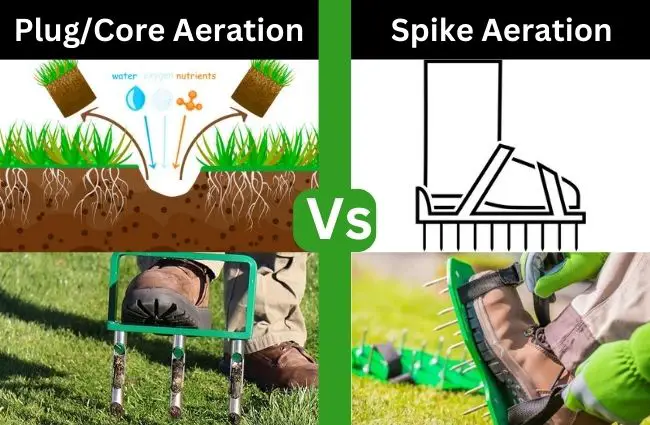 Pluge VS Spike aeration
