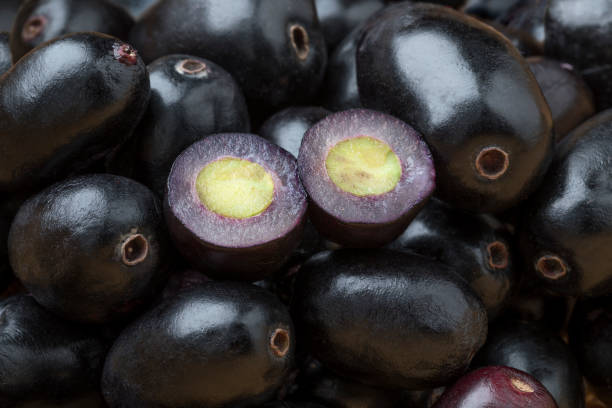 java plum