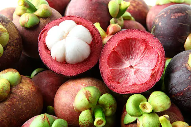 mangosteen