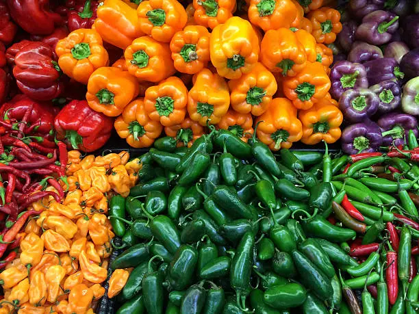 Capsicum - peppers
