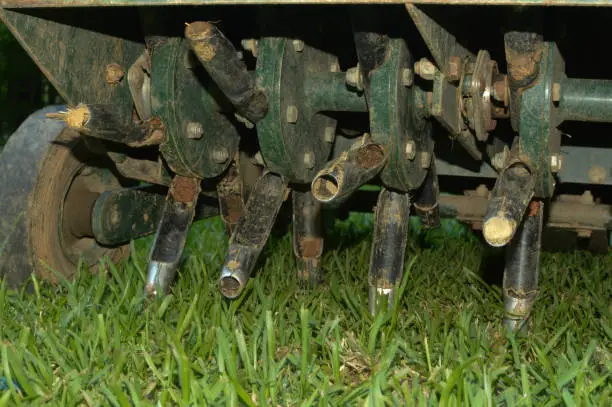what is the best time to aerate your lawn